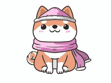 おすわりマフラー柴犬 犬,柴犬,ペット,動物,マフラー,ニット帽,おすわり,赤柴のイラスト素材