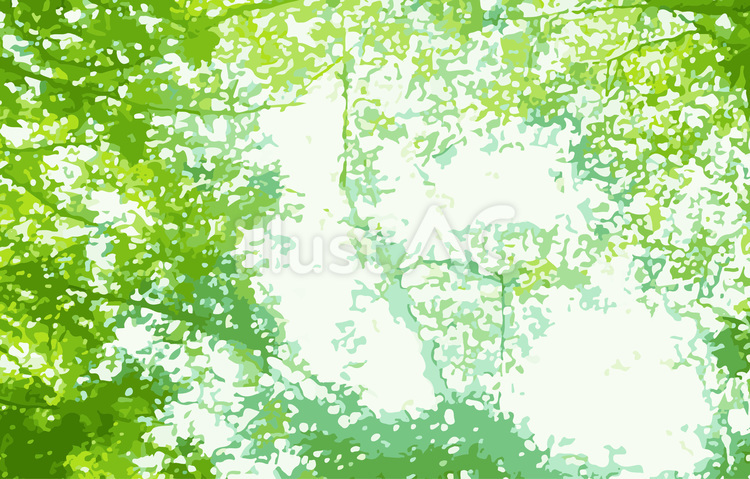木漏れ日　 樹木,木漏れ日,葉のイラスト素材