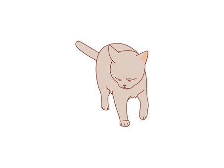 困り顔の猫　茶トラ 猫,困惑,嫌,見ないふり,怒り,焦り,片足,怪我,びっこ,引きずるのイラスト素材