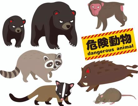 野生の危険動物 危険,動物,駆除,熊,猿,アライグマ,イノシシ,ハクビシン,ネズミ,ドブネズミのイラスト素材