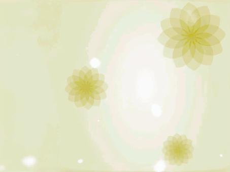 Illustration, background, dandelion, marigold, 