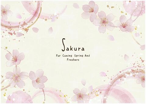 さくらのフレーム001 桜,花びら,フレーム,桜吹雪,筆,桜の花,和,水彩,メッセージ,和風のイラスト素材