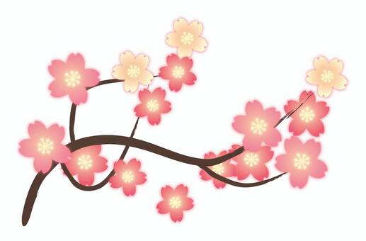 Cherry Blossoms, cherry blossoms, april, spring, JPG, PNG and AI