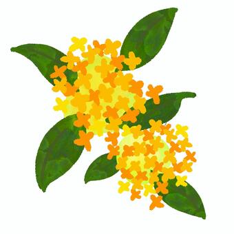 キンモクセイのイラスト・左向き 花,樹木,香り,金木犀,キンモクセイ,秋の花,オレンジの花,黄色い花,香りの花,花のイラストのイラスト素材