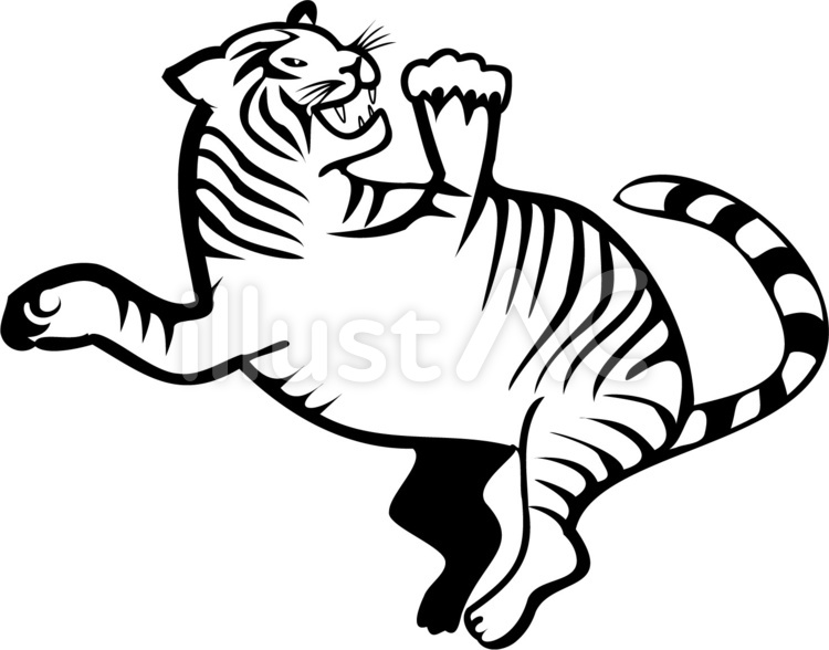 虎　タイガー　寅　干支　猛獣　暴れる 虎,タイガー,寅のイラスト素材