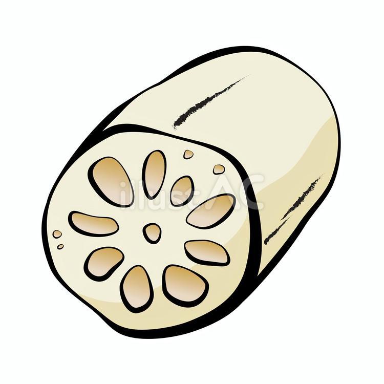 蓮根アイコン 無料,イラスト,植物のイラスト素材