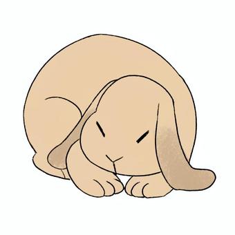 うさぎ うさぎ,ウサギ,兎,動物,生物,ペット,動物園,干支,卯,寝ているのイラスト素材