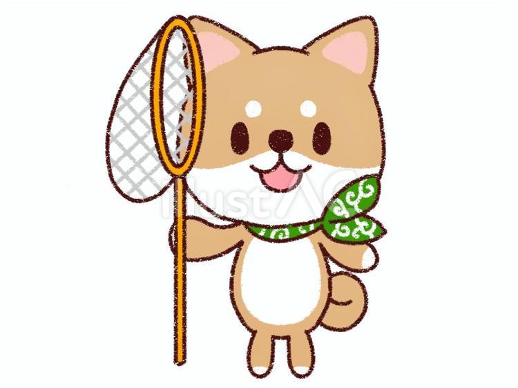 虫取りをする柴犬 柴犬,動物,犬のイラスト素材