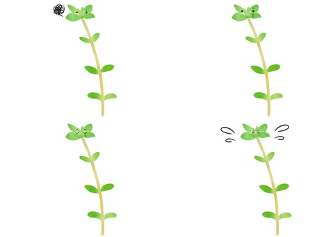 Illustration, time, herbs, vegetables, 