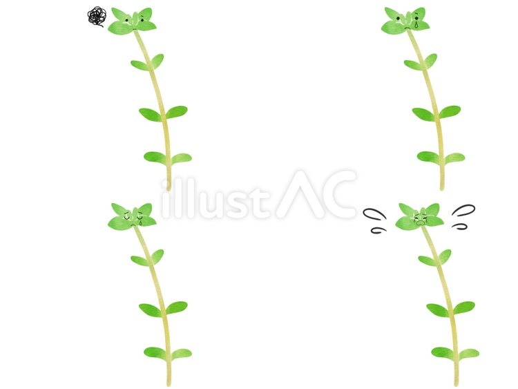 野菜のキャラの表情セット　哀　タイム タイム,ハーブ,野菜のイラスト素材