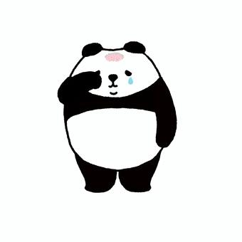 パンダシリーズ　脱け毛が・・・1 パンダ,かわいい,動物,泣く,涙,脱毛,ハゲ,毛穴,地肌,悲しいのイラスト素材