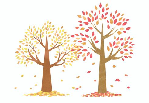 葉が落ち始めた紅葉した2本の木　3 紅葉,木,樹木,木の葉,葉,枯れ葉,秋,10月,11月,晩秋のイラスト素材