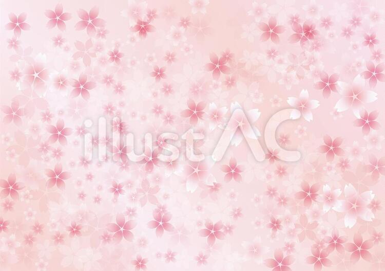 桜花爛漫11 花,桜,春のイラスト素材