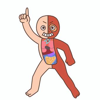 人体模型がダンス 人体模型,骨格,ダンス,教育,学校のイラスト素材