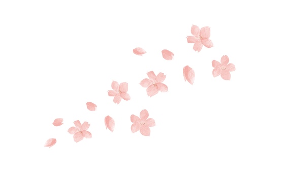 Illustration, cherry blossoms, spring, flower, 