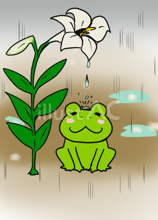 梅雨 梅雨,花,カエルのイラスト素材