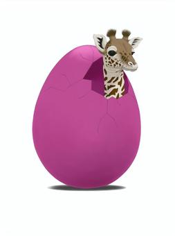 From the egg ..., JPG From the egg ..., giraffe, egg, baby, JPG