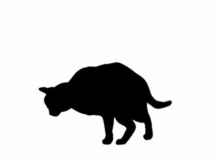 猫。。 猫,シルエット,動物,背景透過,黒猫,イラスト,素材,透過png,アイコン,ペットのイラスト素材