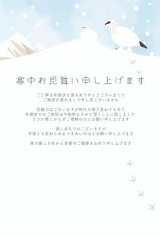 寒中お見舞い 年賀状じまい -雷鳥- 寒中お見舞い,挨拶状,ポストカード,ハガキ,年賀状じまい,終活,冬,季節,雷鳥,鳥のイラスト素材