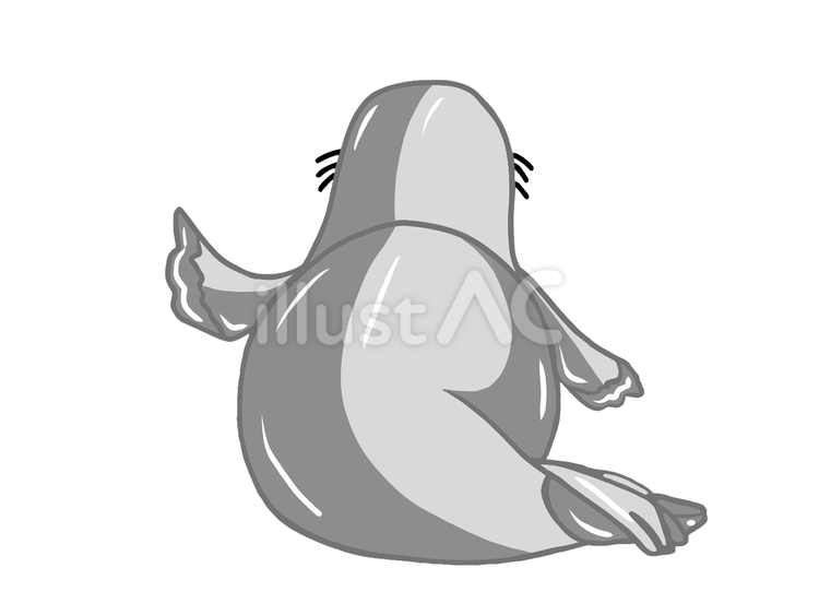 うしろ姿のアザラシ アザラシ,海豹,哺乳類のイラスト素材