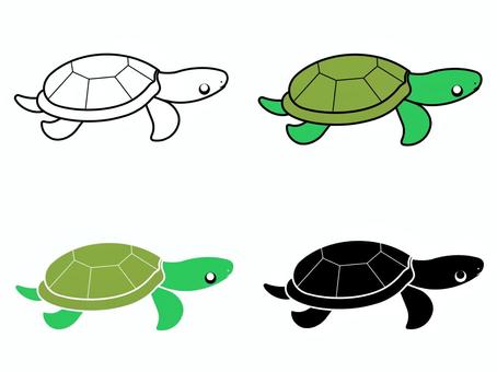 Illustration, turtle, sea turtle, set, 