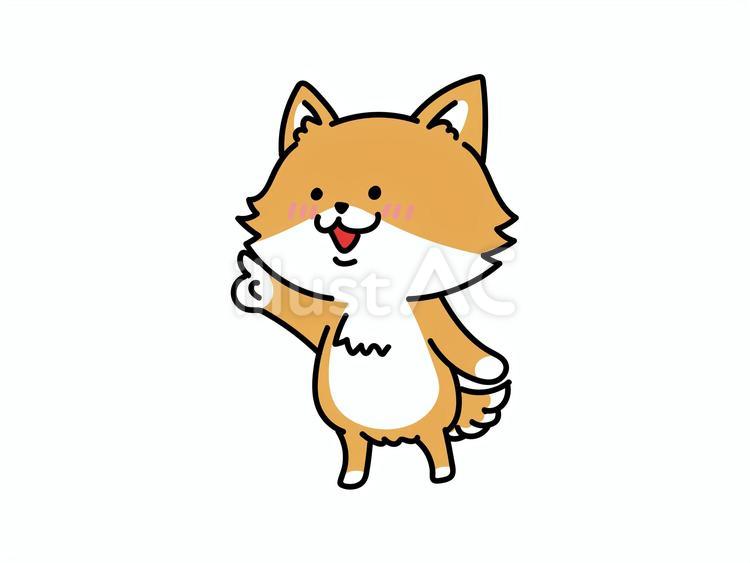あれ見て！指差しをする柴犬さん 柴犬,指差し,人差し指のイラスト素材