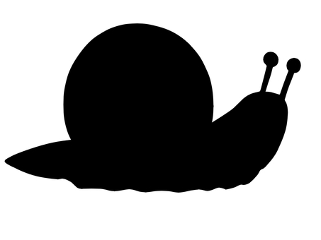 Snail silhouette, , JPG and PNG