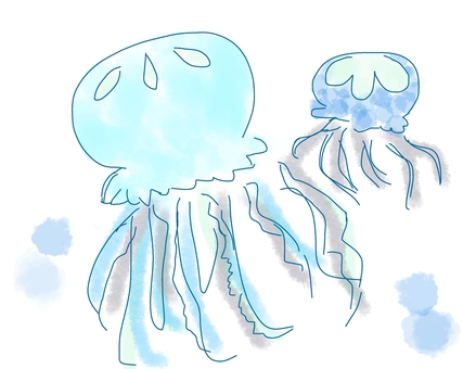クラゲ クラゲ,水族館,海,夏,水色のイラスト素材