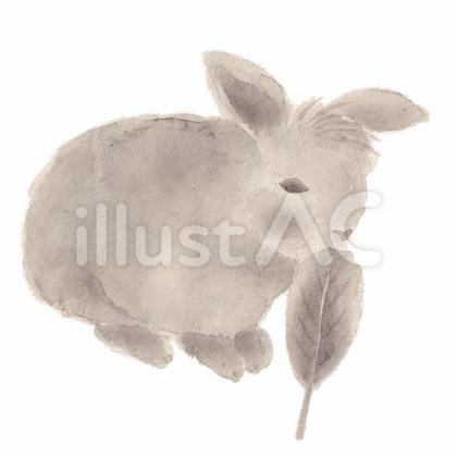 葉を食べるウサギ