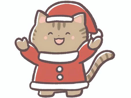 サンタクロースの格好したクリスマスの猫 クリスマス,冬,12月,サンタクロース,帽子,サンタ,衣装,服,猫,動物のイラスト素材