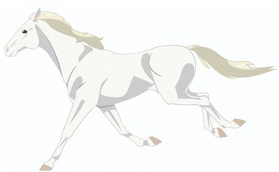走るウマ（白毛）_3