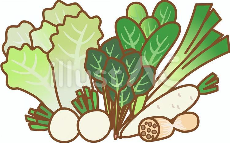 冬が旬の野菜 冬野菜,野菜,冬のイラスト素材