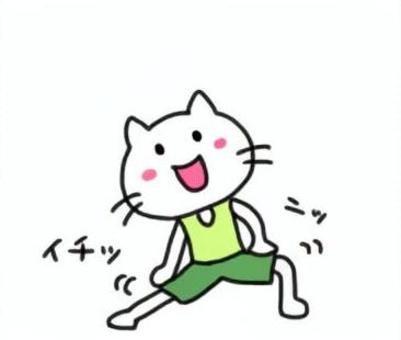 準備体操する猫 猫,白猫,準備体操,準備運動,運動のイラスト素材