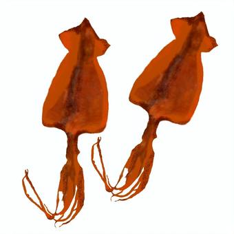 するめ するめ,いか,乾物,食品,あたりめのイラスト素材