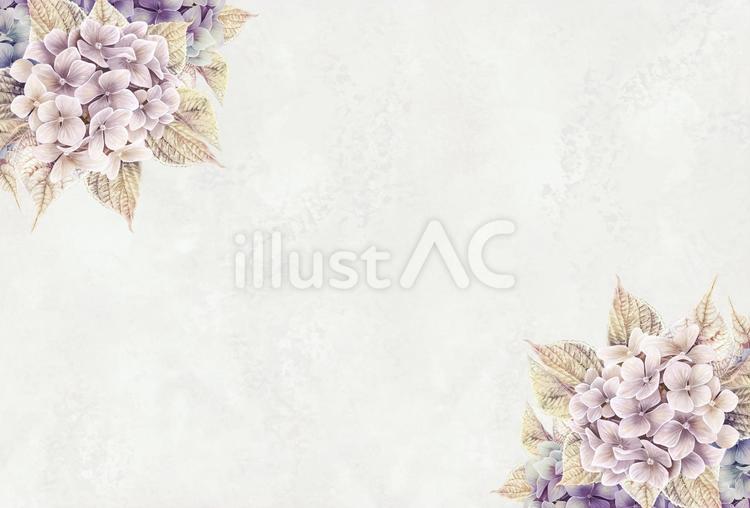 シックな色合いのアジサイの花枠3 あじさい,梅雨,夏のイラスト素材