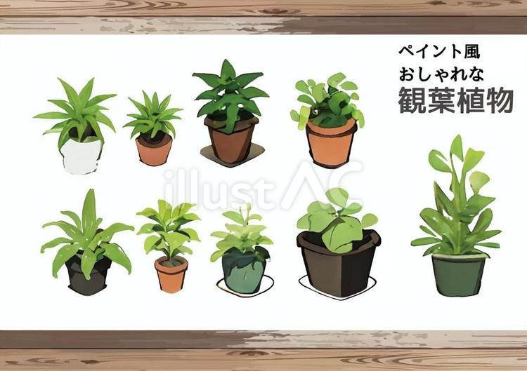 観葉植物のイラストセット 観葉植物,植物,ペイントのイラスト素材