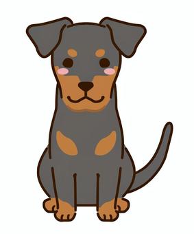 Illustration, manchester terrier, terrier, england, 