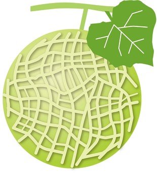 果物_メロン メロン,果物,農園,畑,農家,農業のイラスト素材