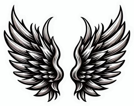 Feather, bird's feather, feather, bird, JPG and PNG