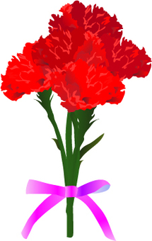Carnation, Carnation, dina ibu, mama, ibu,