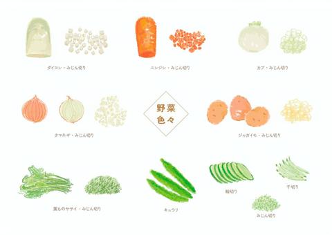 野菜カットA 野菜カットA 野菜,食品,食材,カット,料理イラスト,ダイコン,ニンジン,カブ,タマネギ,ジャガイモのイラスト素材