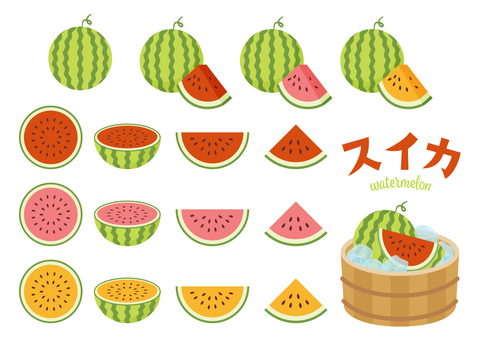 Illustration, watermelon, summer, set, 