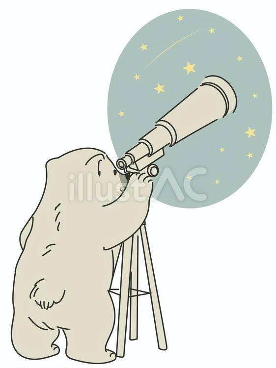 天体観測する白熊の子 しろくま,子熊,望遠鏡のイラスト素材
