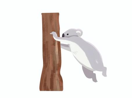 Illustration, कोअला, फॉक्स भालू, fukuroguma, 