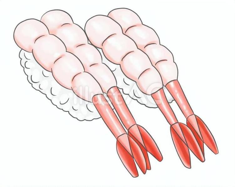 寿司ネタのイラスト　甘エビ 甘エビ,寿司,握りのイラスト素材