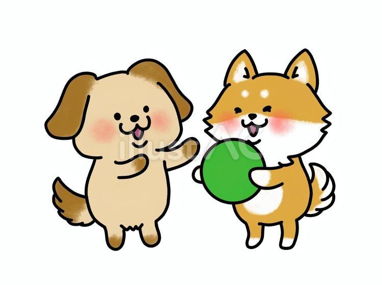 かしてどうぞが出来る犬さんたち 犬,柴犬,ボールのイラスト素材