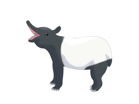 マレーバク（鳴く・主線なし） マレーバク,動物,白,黒,ツートンカラー,鳴く,主線なしのイラスト素材