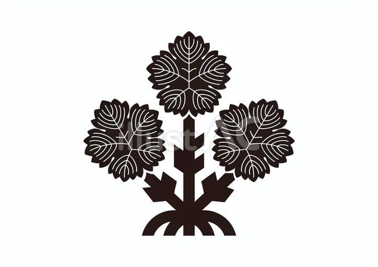 信濃諏訪神社 梶,諏訪,梶の葉のイラスト素材