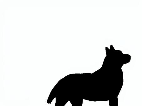 犬。。 犬,吠える,ペット,鳴く,シルエット,動物のイラスト素材