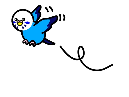 飛ぶセキセイインコ 飛ぶセキセイインコ セキセイインコ,鳥,動物のイラスト素材
